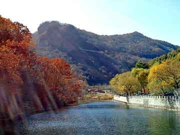 管家婆免费正版资起大全，景谷彝族傣族自治seo优化